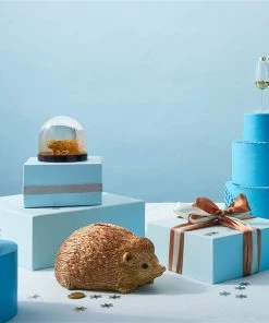 &klevering Hedgehog Money Bank