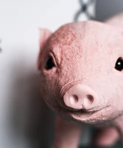 &klevering Pink Piggy Coin Box