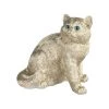 &klevering Coinbank Exotic Shorthair