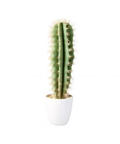 &klevering Chimaltenago Faux Cactus